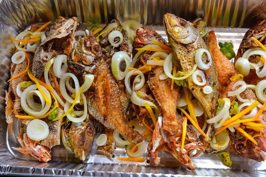 12 escovitch fish