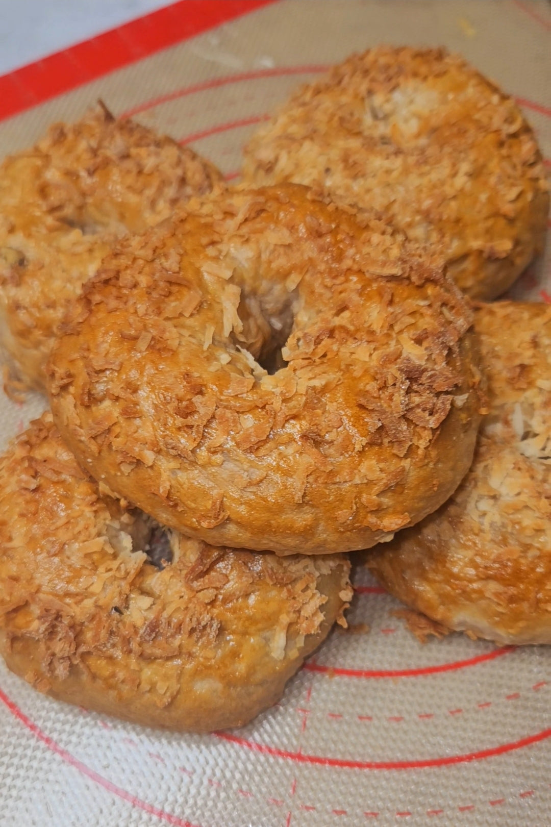 Nuts and coconut bagels (12)